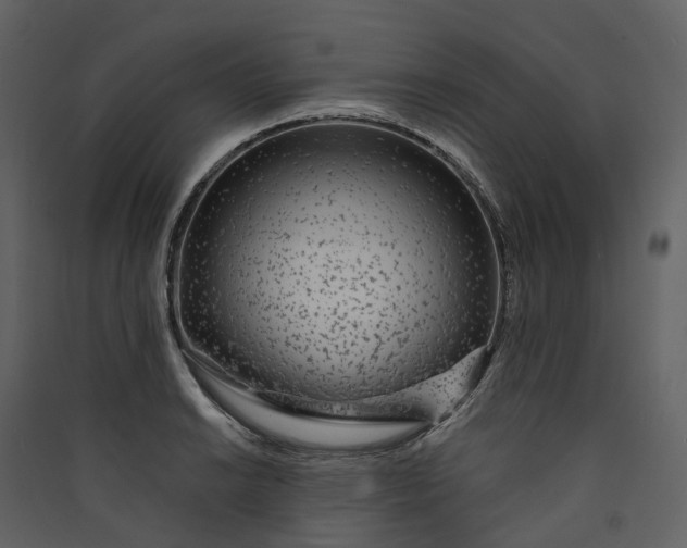 X0000089941038200707131449