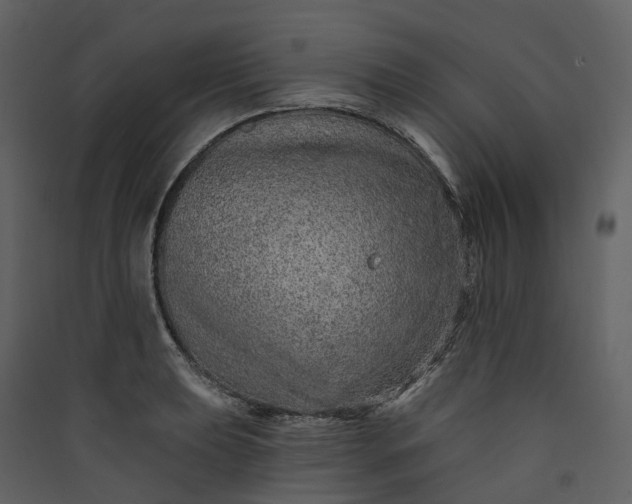 X0000089941039200707131449