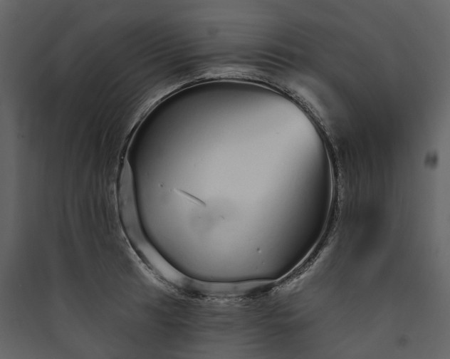 X0000089941041200707131449