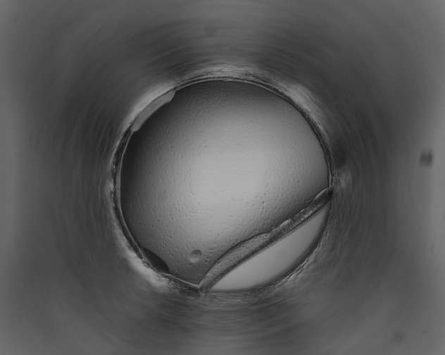 X0000089941042200707131449