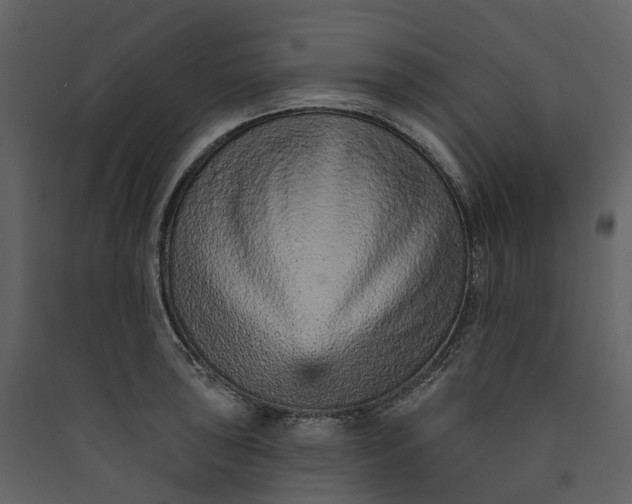 X0000089941043200707131449