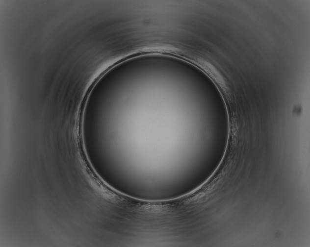 X0000089941044200707131449