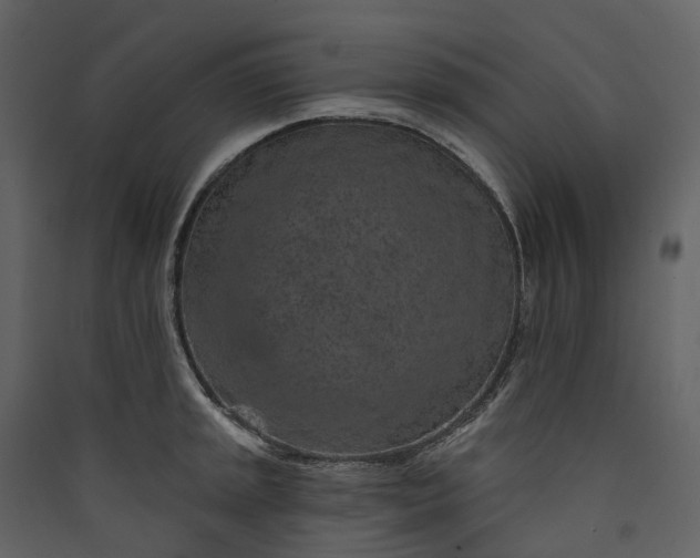 X0000089941045200707131449