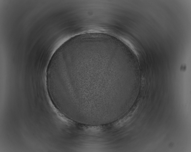 X0000089941047200707131449