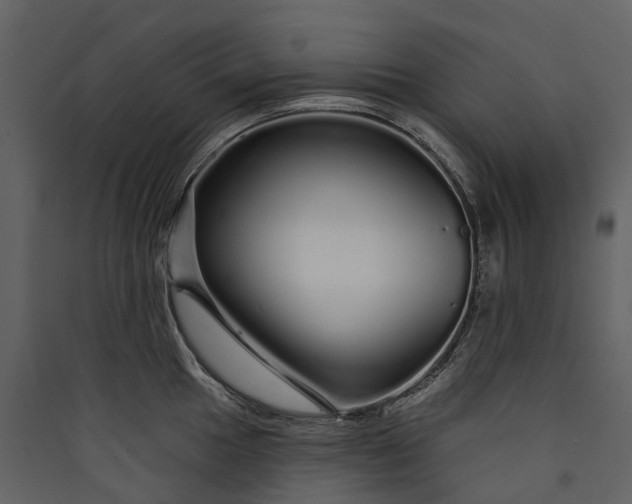 X0000089941049200707131449