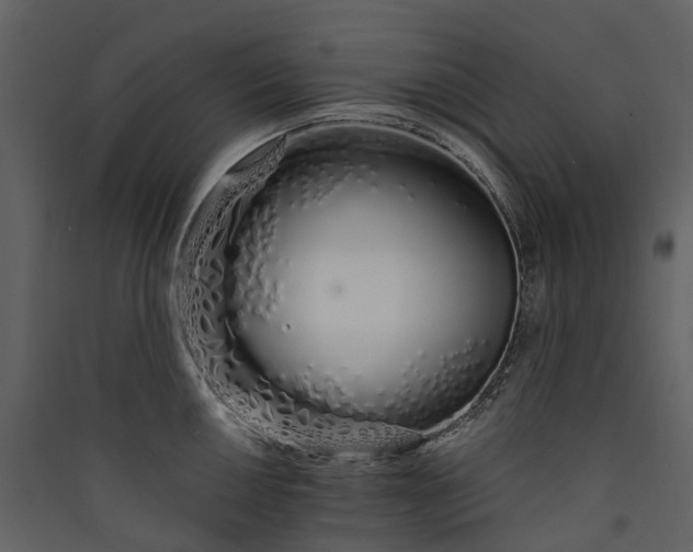 X0000089941050200707131449