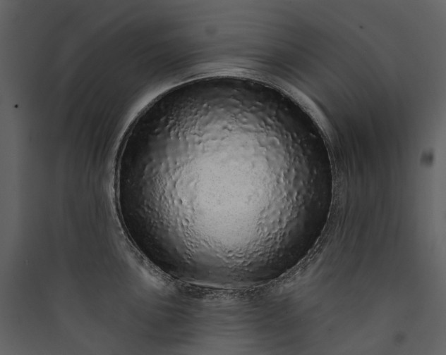 X0000089941051200707131449