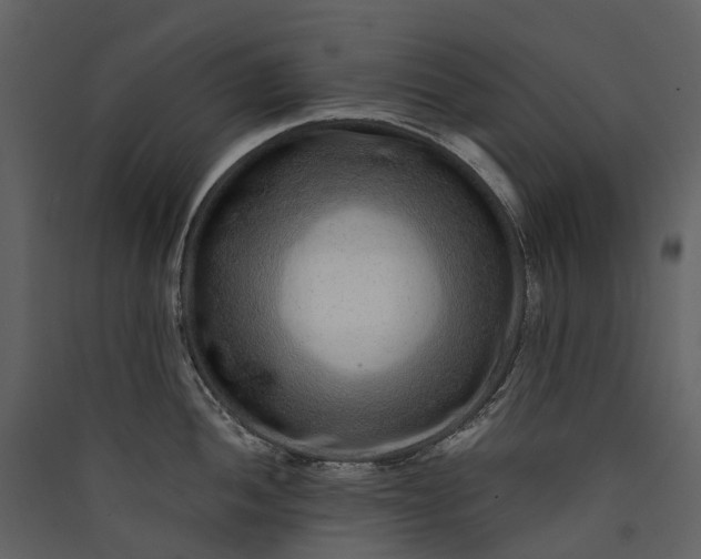 X0000089941052200707131449