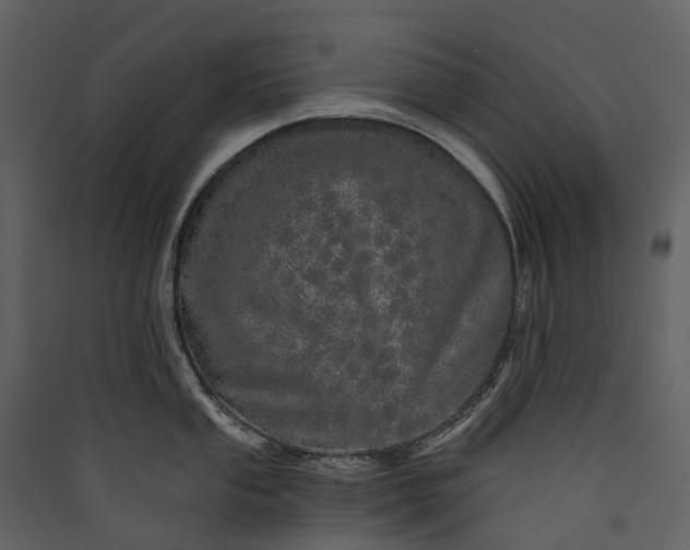 X0000089941053200707131449