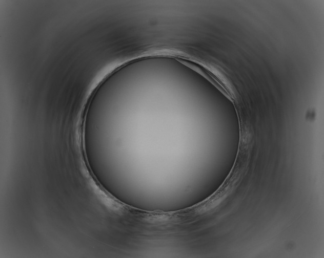 X0000089941054200707131449