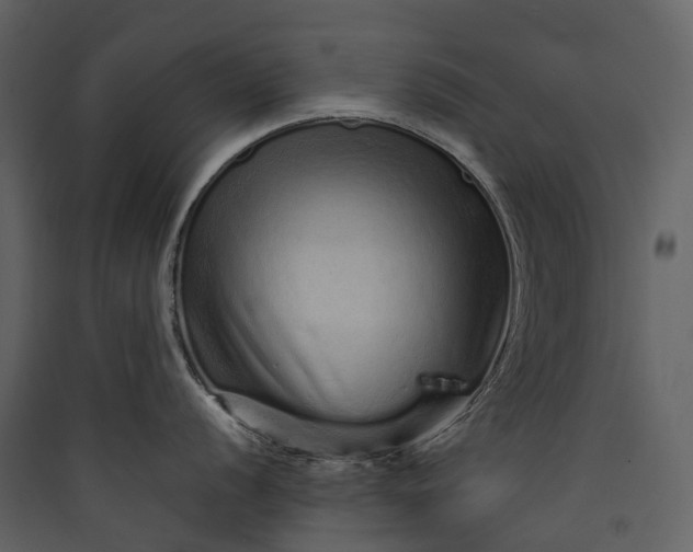 X0000089941056200707131449