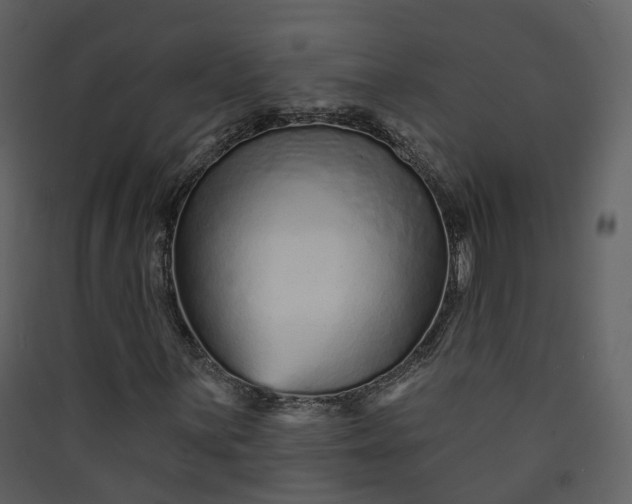 X0000089941059200707131448