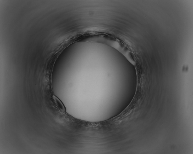 X0000089941062200707131448