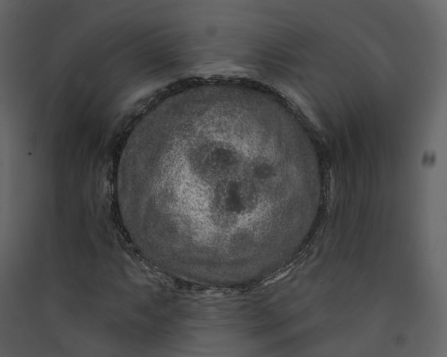 X0000089941063200707131448