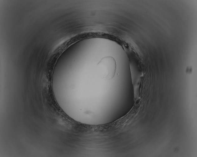 X0000089941064200707131448