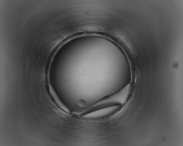 X0000089941065200707131448