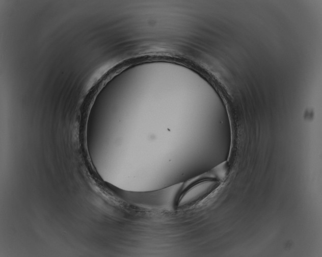 X0000089941066200707131448