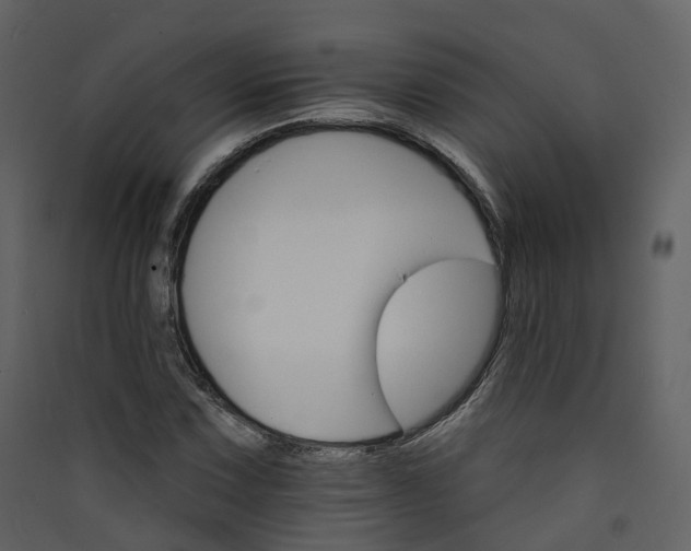 X0000089941067200707131448