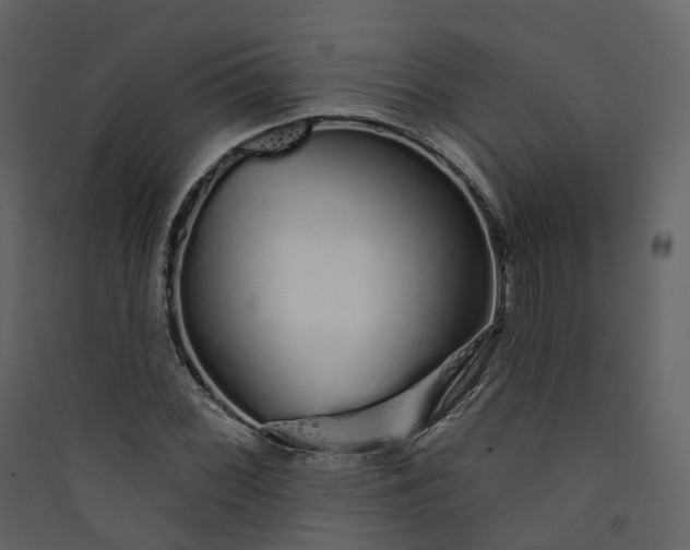 X0000089941068200707131448