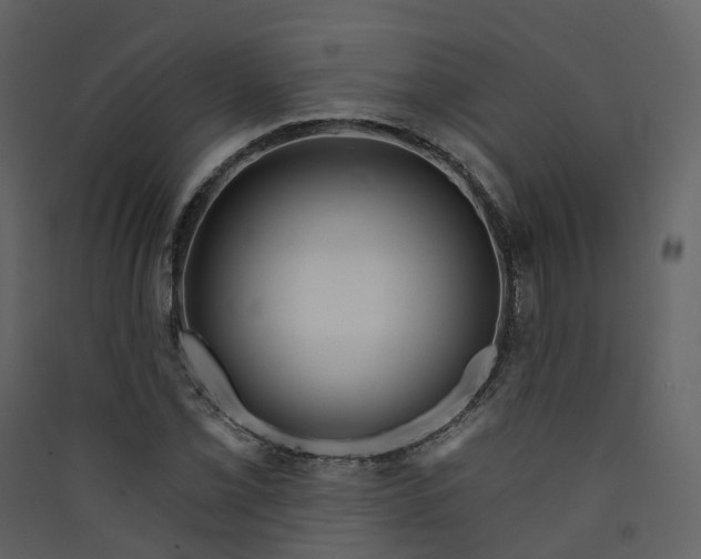 X0000089941069200707131448