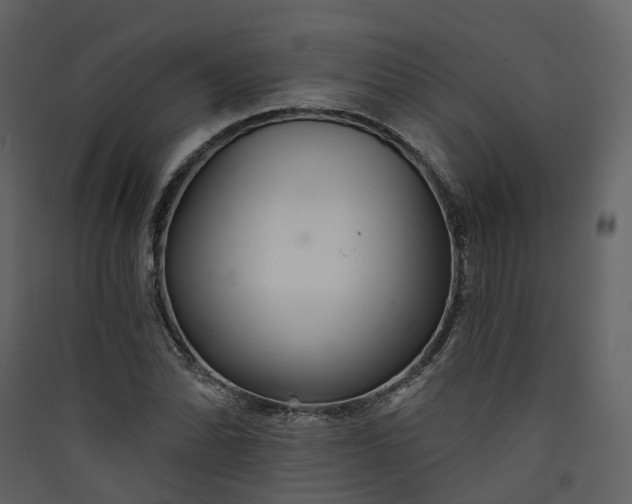 X0000089941070200707131448