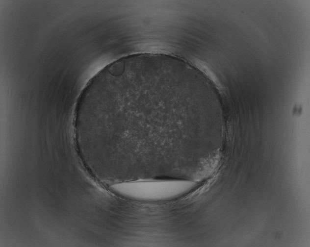 X0000089941071200707131448