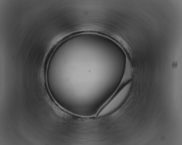 X0000089941072200707131448