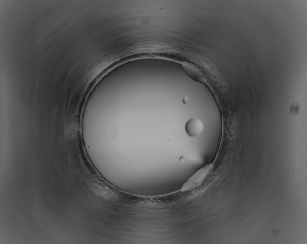 X0000089941073200707131448