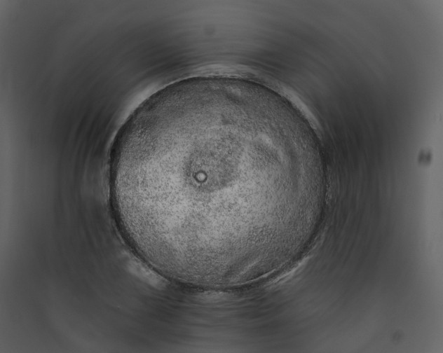 X0000089941075200707131448