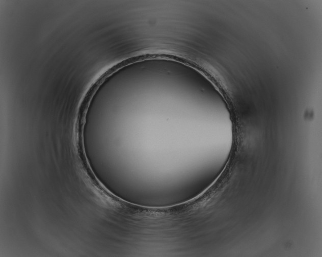 X0000089941076200707131448