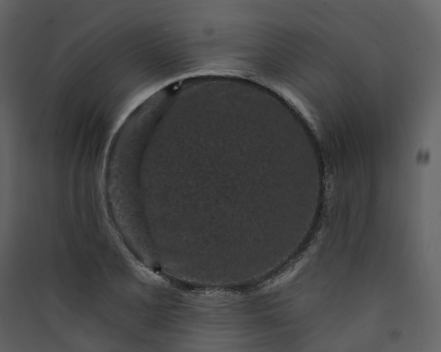 X0000089941077200707131448