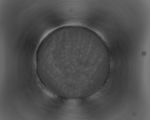 X0000089941078200707131448