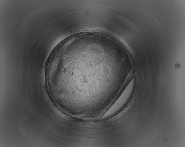 X0000089941079200707131448