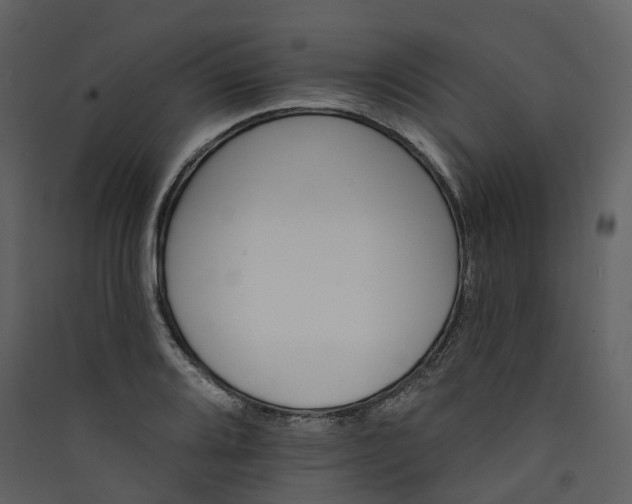 X0000089941080200707131448