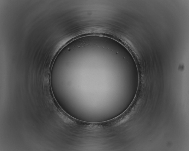 X0000089941081200707131448