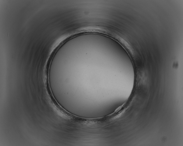 X0000089941082200707131448