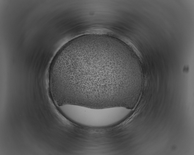 X0000089941083200707131448