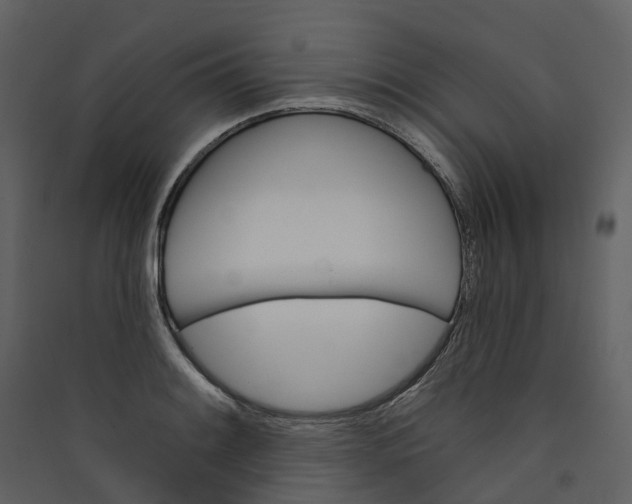 X0000089941084200707131448