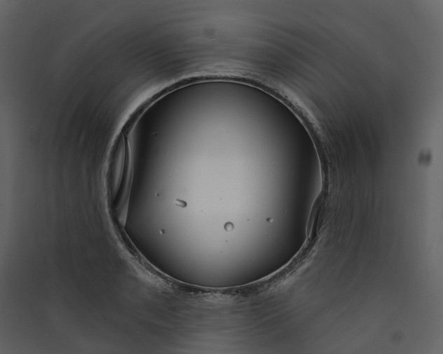 X0000089941085200707131448