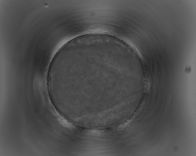 X0000089941086200707131448