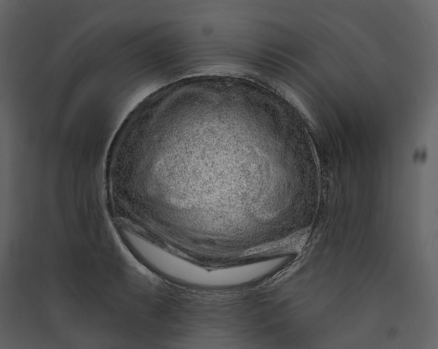 X0000089941087200707131448