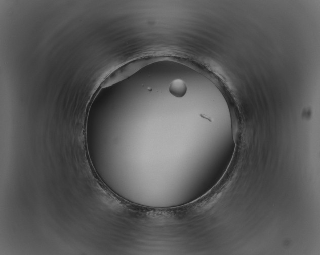 X0000089941089200707131448