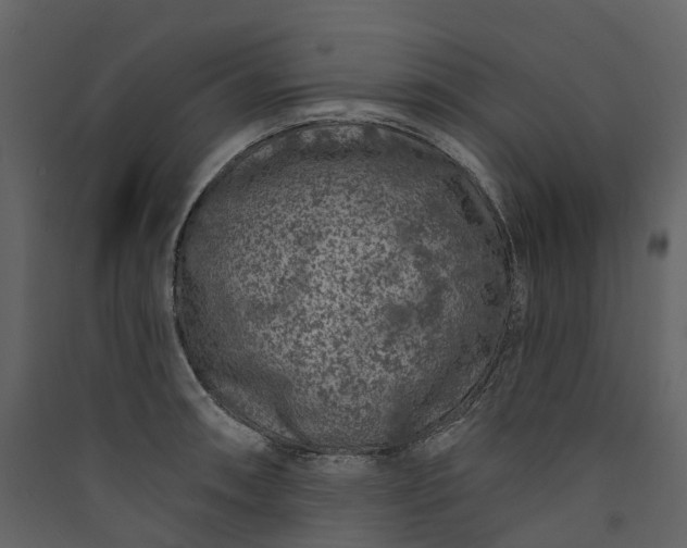 X0000089941090200707131448