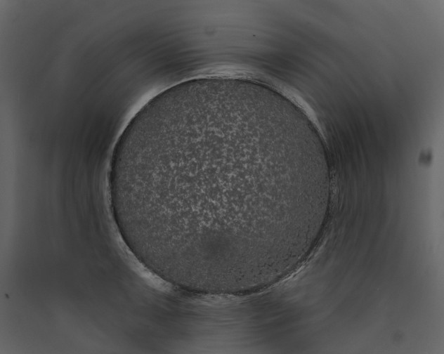 X0000089941091200707131448