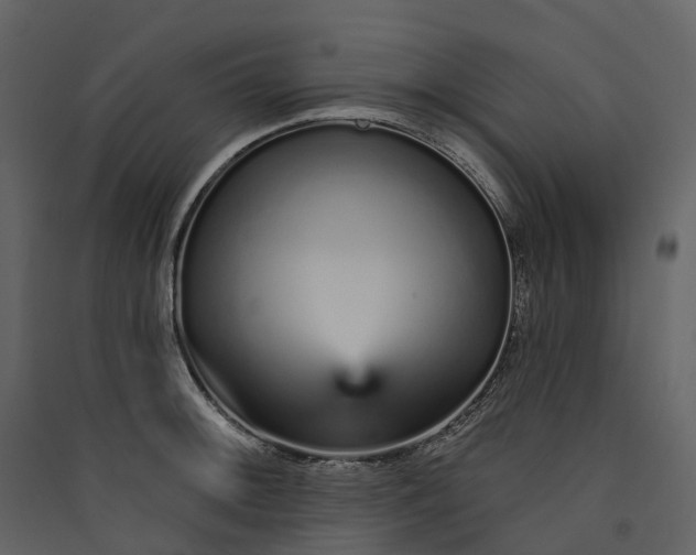 X0000089941092200707131448