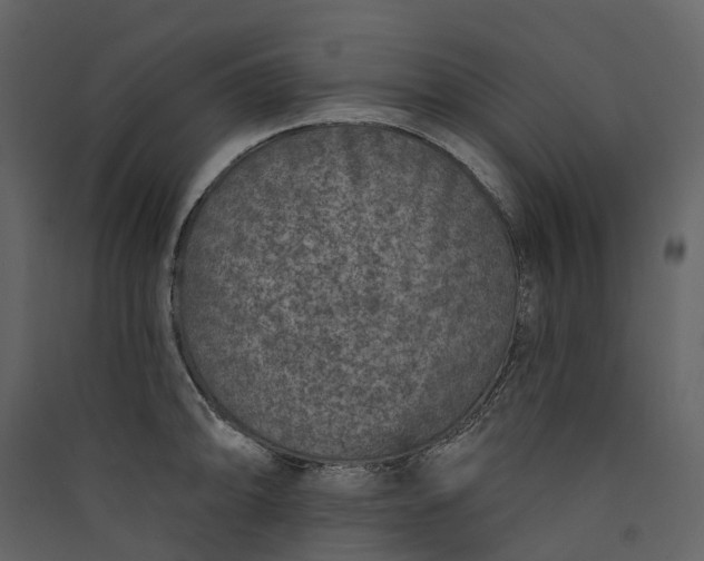 X0000089941094200707131448