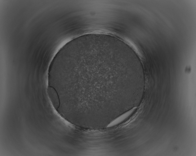 X0000089941095200707131448