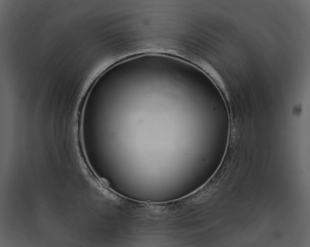 X0000089941096200707131448