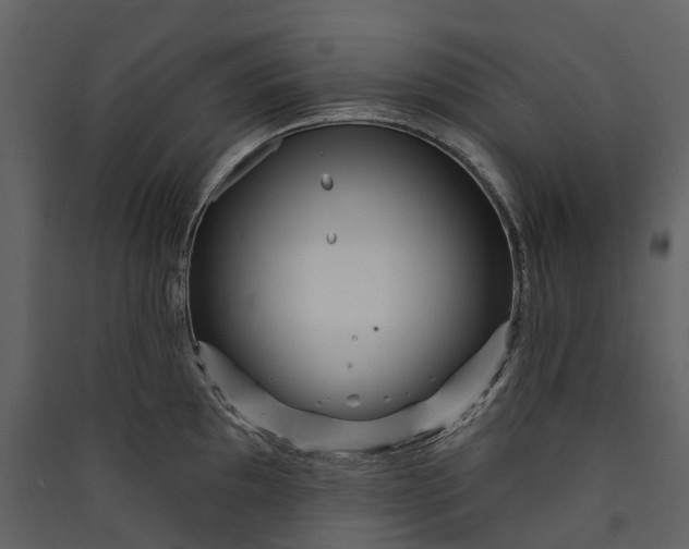 X0000089941097200707131448