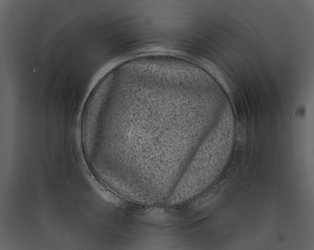 X0000089941098200707131448